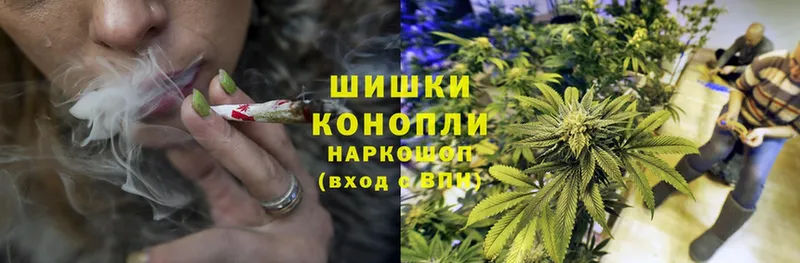 Шишки марихуана White Widow  Болохово 